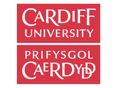 digital marketing school